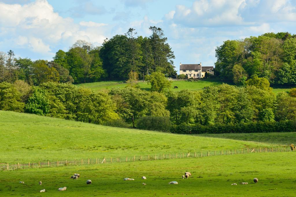 Dromard House Bed and Breakfast Enniskillen Buitenkant foto
