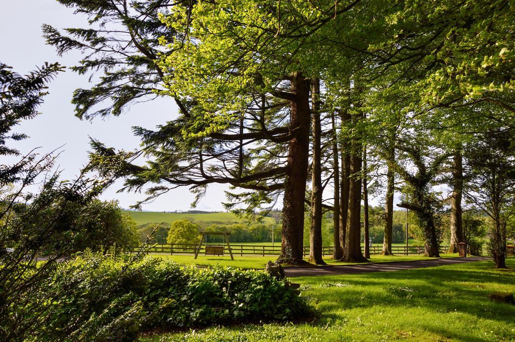 Dromard House Bed and Breakfast Enniskillen Buitenkant foto